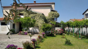Apartment Sasa Bozac